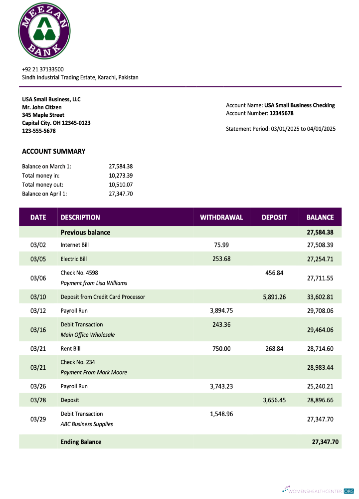 Download Pakistan Meezan Bank organization statement Word and PDF template Photoshop template